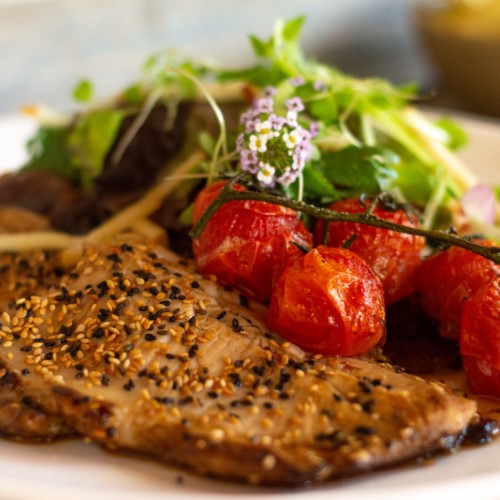 Temporada da Truta nas Montanhas termina neste fim de semana